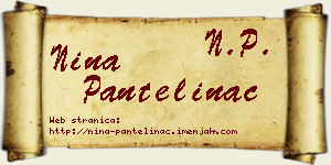Nina Pantelinac vizit kartica